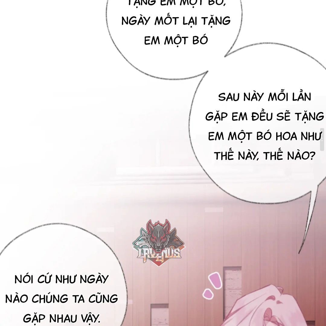 Decibel Nhịp Tim Chapter 15 - Trang 2