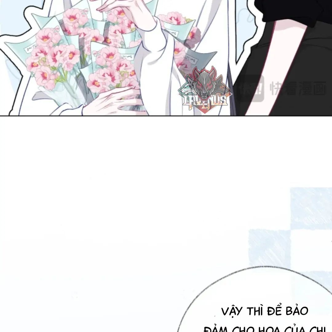 Decibel Nhịp Tim Chapter 15 - Trang 2