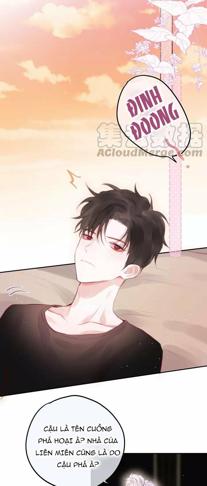 Đêm Ngày Không Dứt Chapter 65 - Trang 2