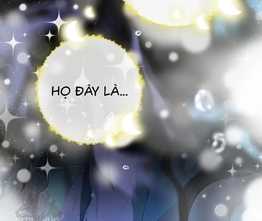 Đến Đông Hải Tìm Mỹ Nhân Chapter 35 - Trang 2