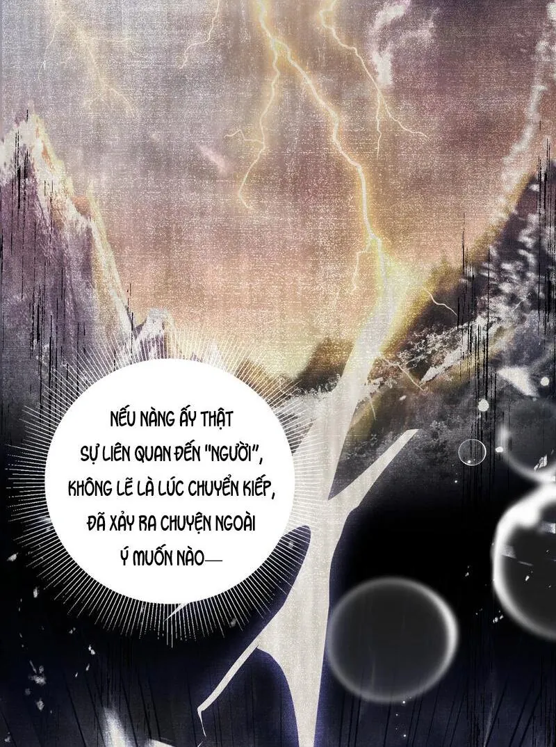 Đến Đông Hải Tìm Mỹ Nhân Chapter 41 - Trang 2