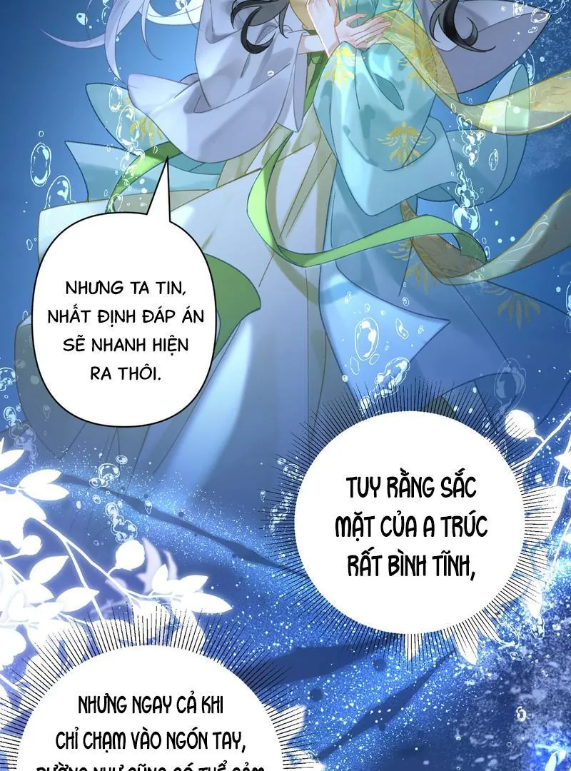 Đến Đông Hải Tìm Mỹ Nhân Chapter 41 - Trang 2