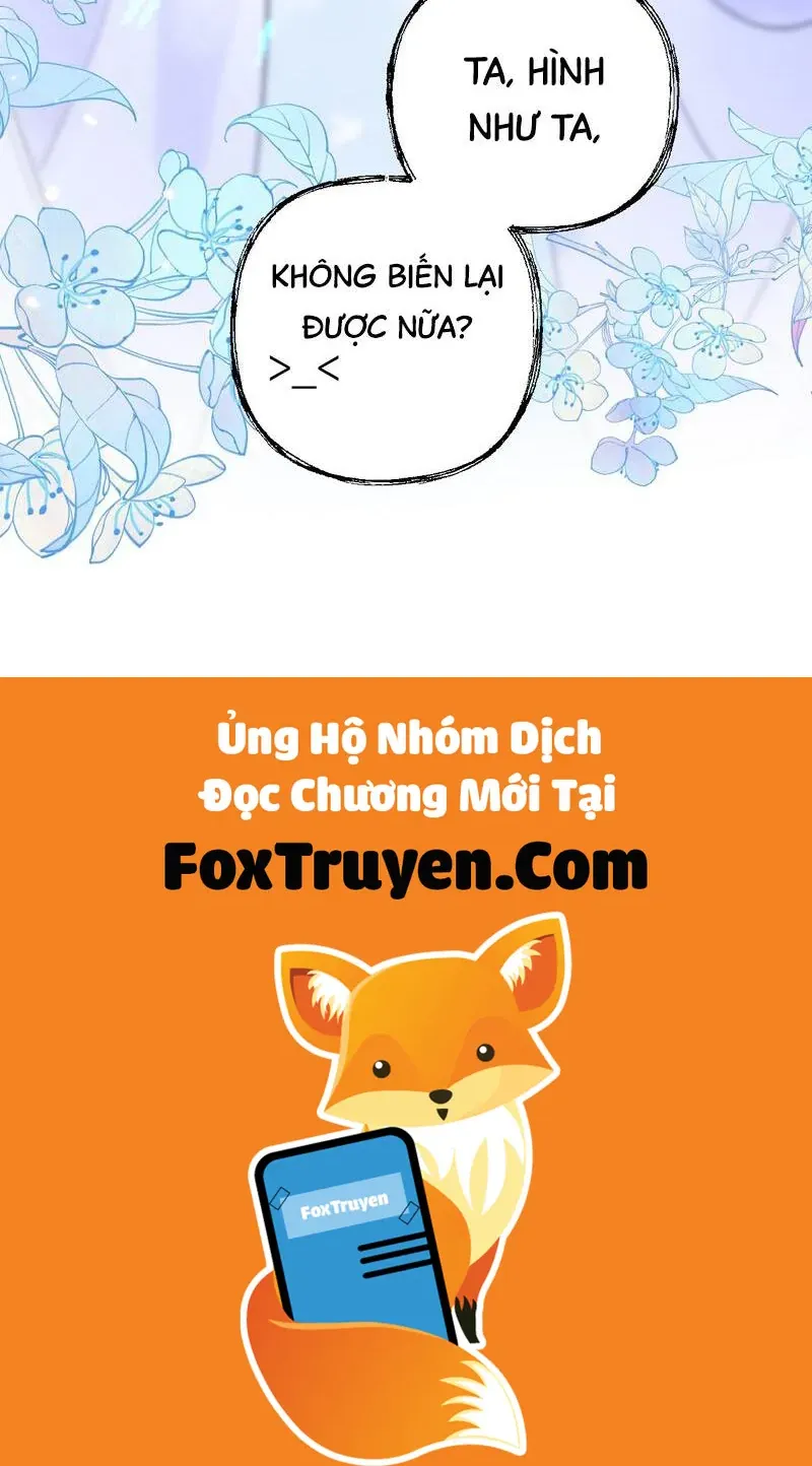 Đến Đông Hải Tìm Mỹ Nhân Chapter 41 - Trang 2