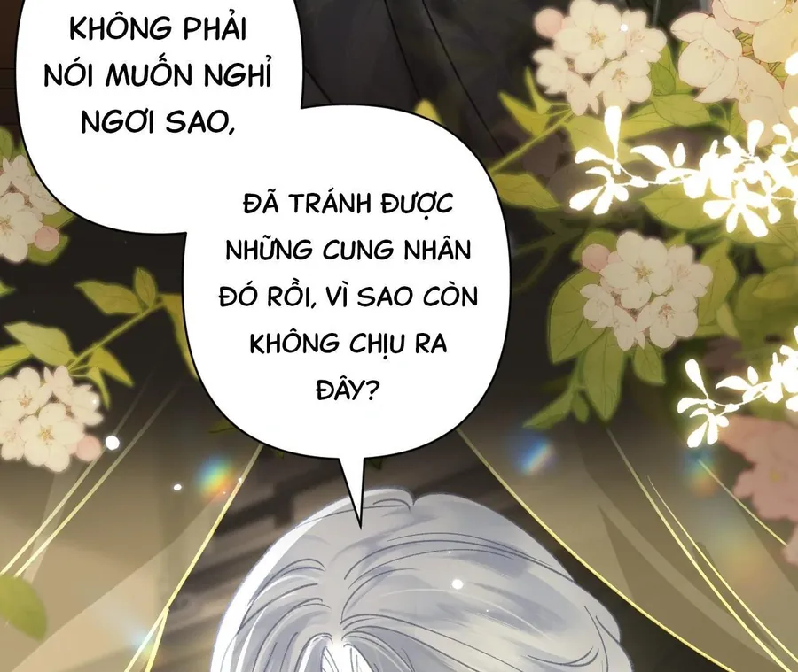 Đến Đông Hải Tìm Mỹ Nhân Chapter 42 - Trang 2