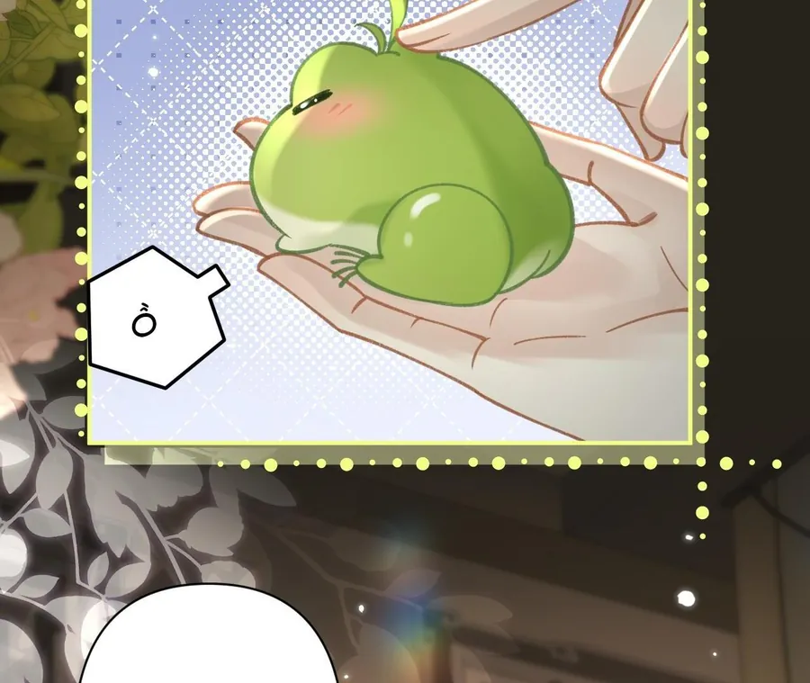 Đến Đông Hải Tìm Mỹ Nhân Chapter 42 - Trang 2