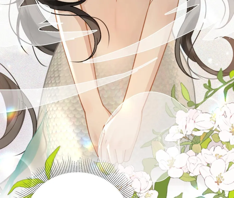 Đến Đông Hải Tìm Mỹ Nhân Chapter 42 - Trang 2