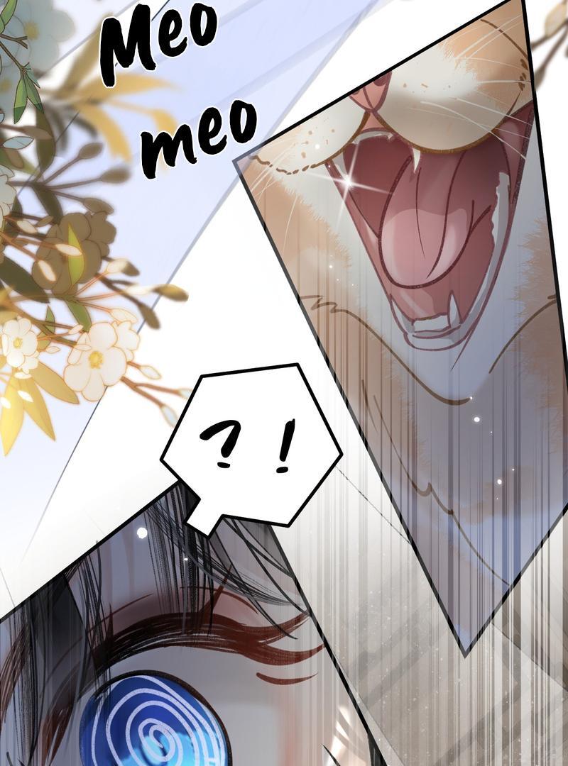 Đến Đông Hải Tìm Mỹ Nhân Chapter 46 - Trang 2