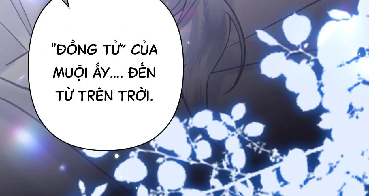 Đến Đông Hải Tìm Mỹ Nhân Chapter 48 - Trang 2