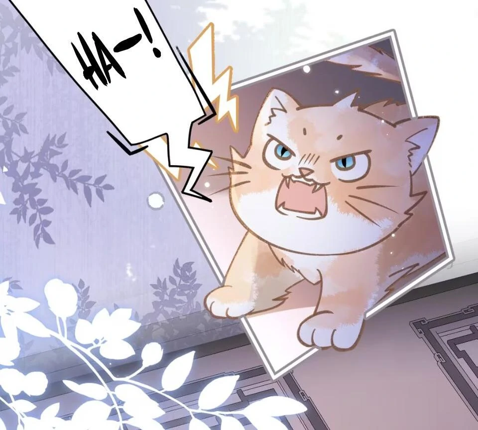 Đến Đông Hải Tìm Mỹ Nhân Chapter 52 - Trang 2