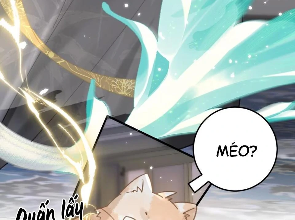 Đến Đông Hải Tìm Mỹ Nhân Chapter 52 - Trang 2