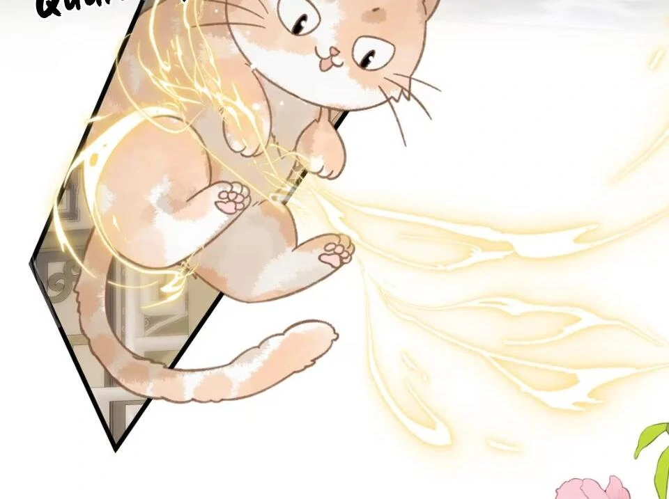 Đến Đông Hải Tìm Mỹ Nhân Chapter 52 - Trang 2