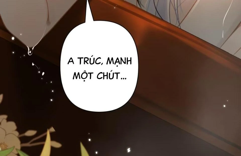 Đến Đông Hải Tìm Mỹ Nhân Chapter 53 - Trang 2