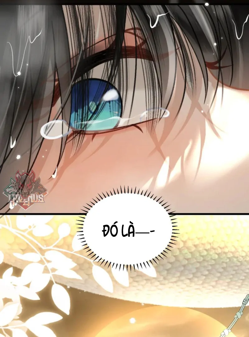 Đến Đông Hải Tìm Mỹ Nhân Chapter 54 - Trang 2