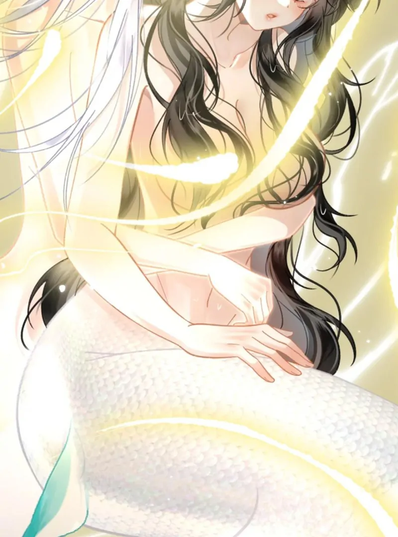 Đến Đông Hải Tìm Mỹ Nhân Chapter 54 - Trang 2