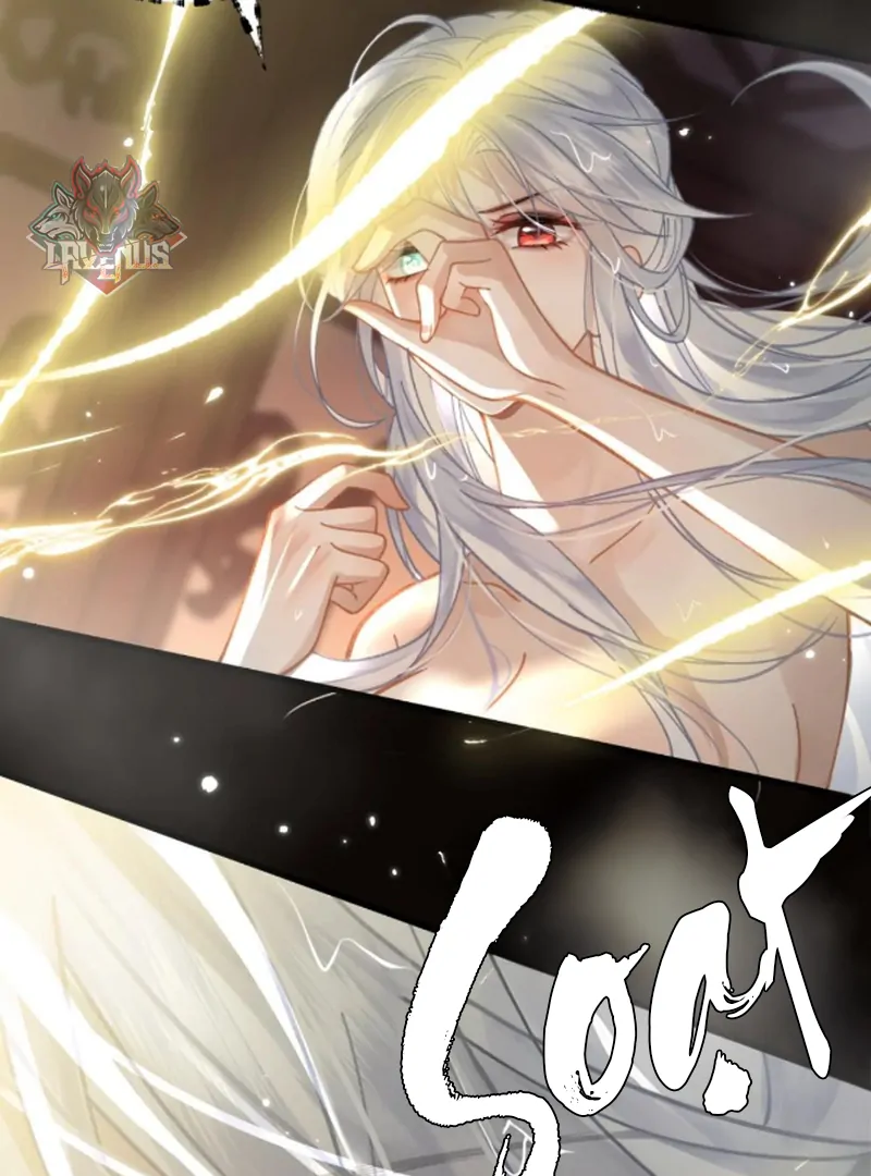 Đến Đông Hải Tìm Mỹ Nhân Chapter 54 - Trang 2