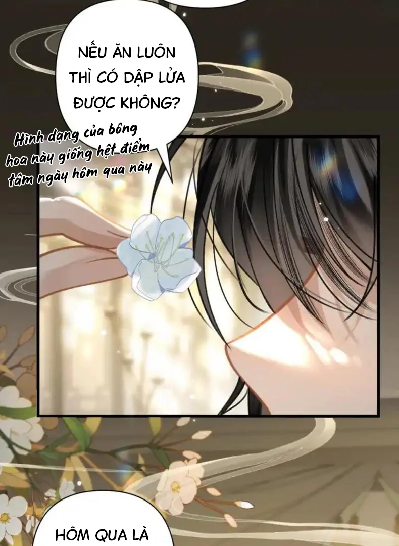 Đến Đông Hải Tìm Mỹ Nhân Chapter 56 - Trang 2