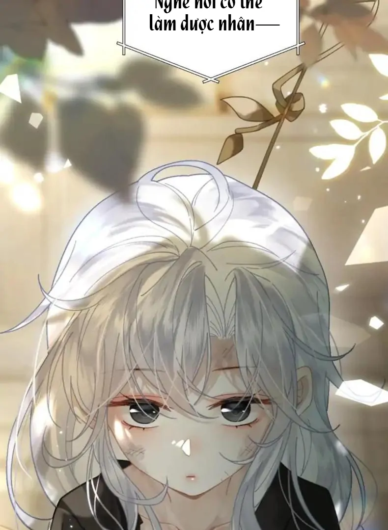 Đến Đông Hải Tìm Mỹ Nhân Chapter 56 - Trang 2