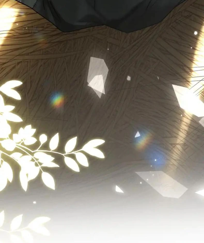 Đến Đông Hải Tìm Mỹ Nhân Chapter 56 - Trang 2