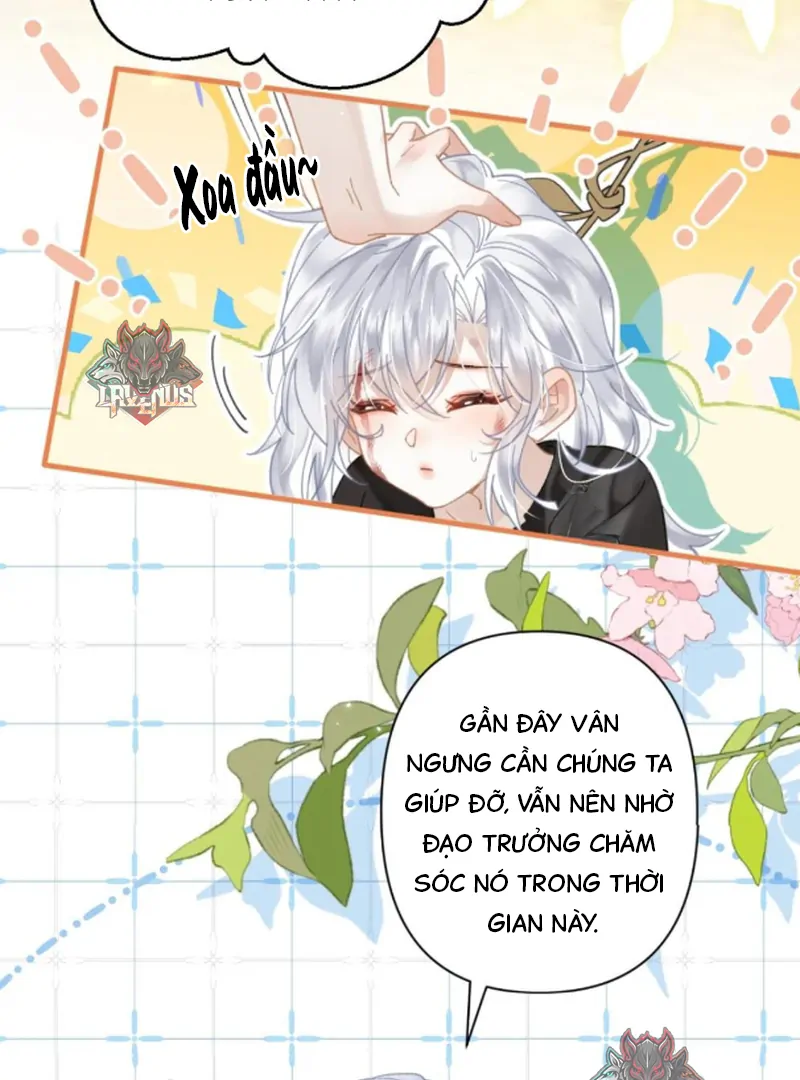 Đến Đông Hải Tìm Mỹ Nhân Chapter 57 - Trang 2