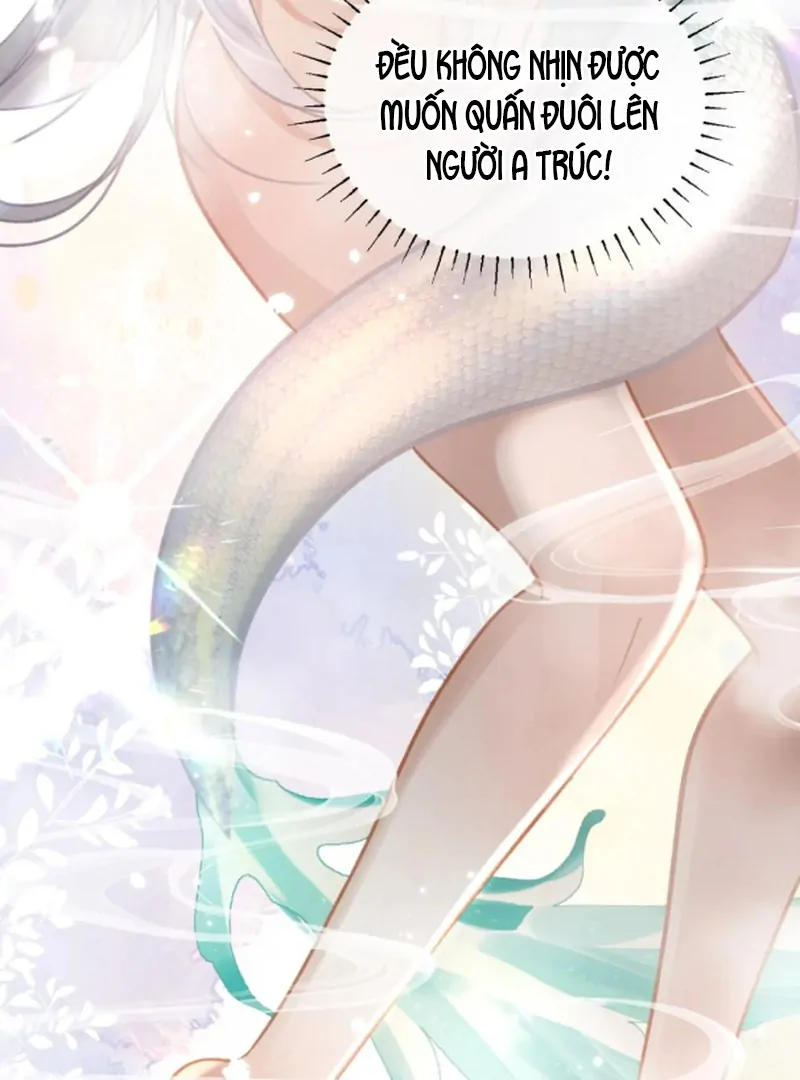 Đến Đông Hải Tìm Mỹ Nhân Chapter 57 - Trang 2