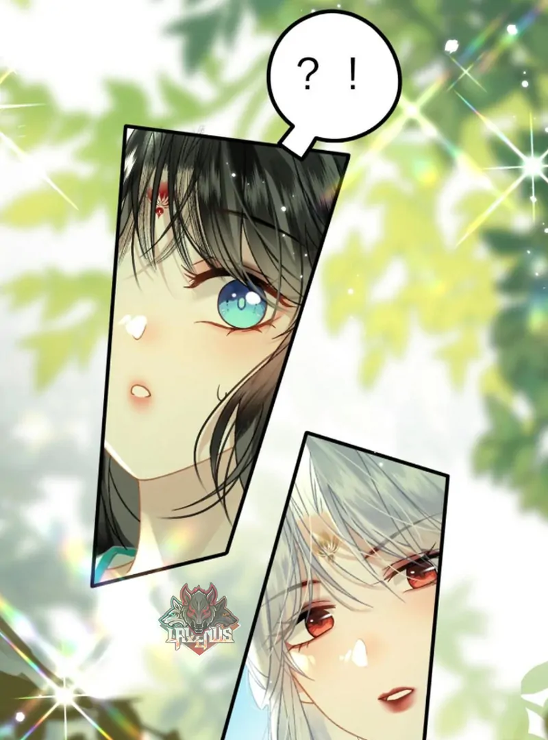 Đến Đông Hải Tìm Mỹ Nhân Chapter 57 - Trang 2