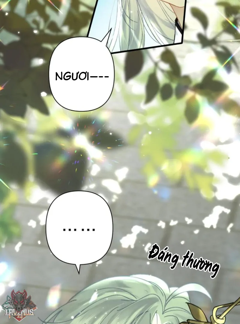 Đến Đông Hải Tìm Mỹ Nhân Chapter 57 - Trang 2