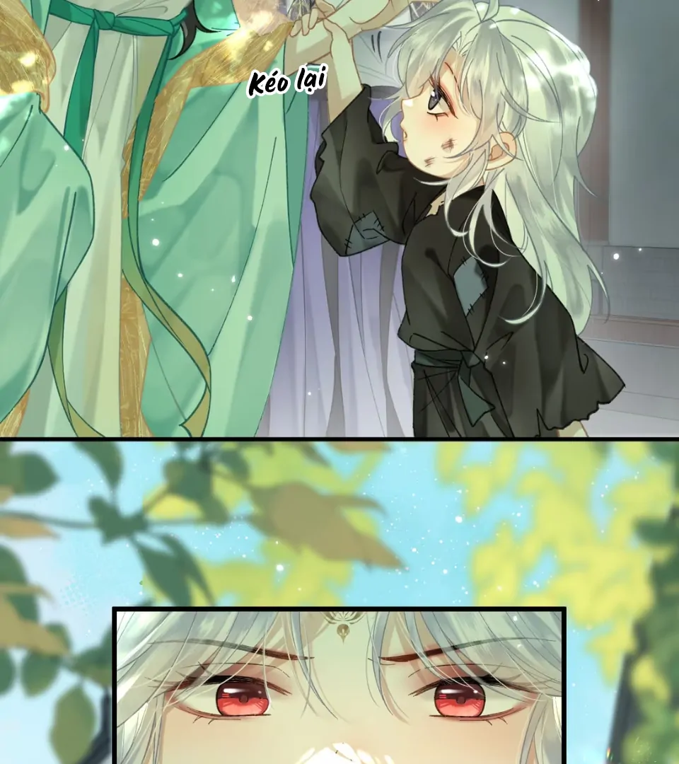 Đến Đông Hải Tìm Mỹ Nhân Chapter 58 - Trang 2