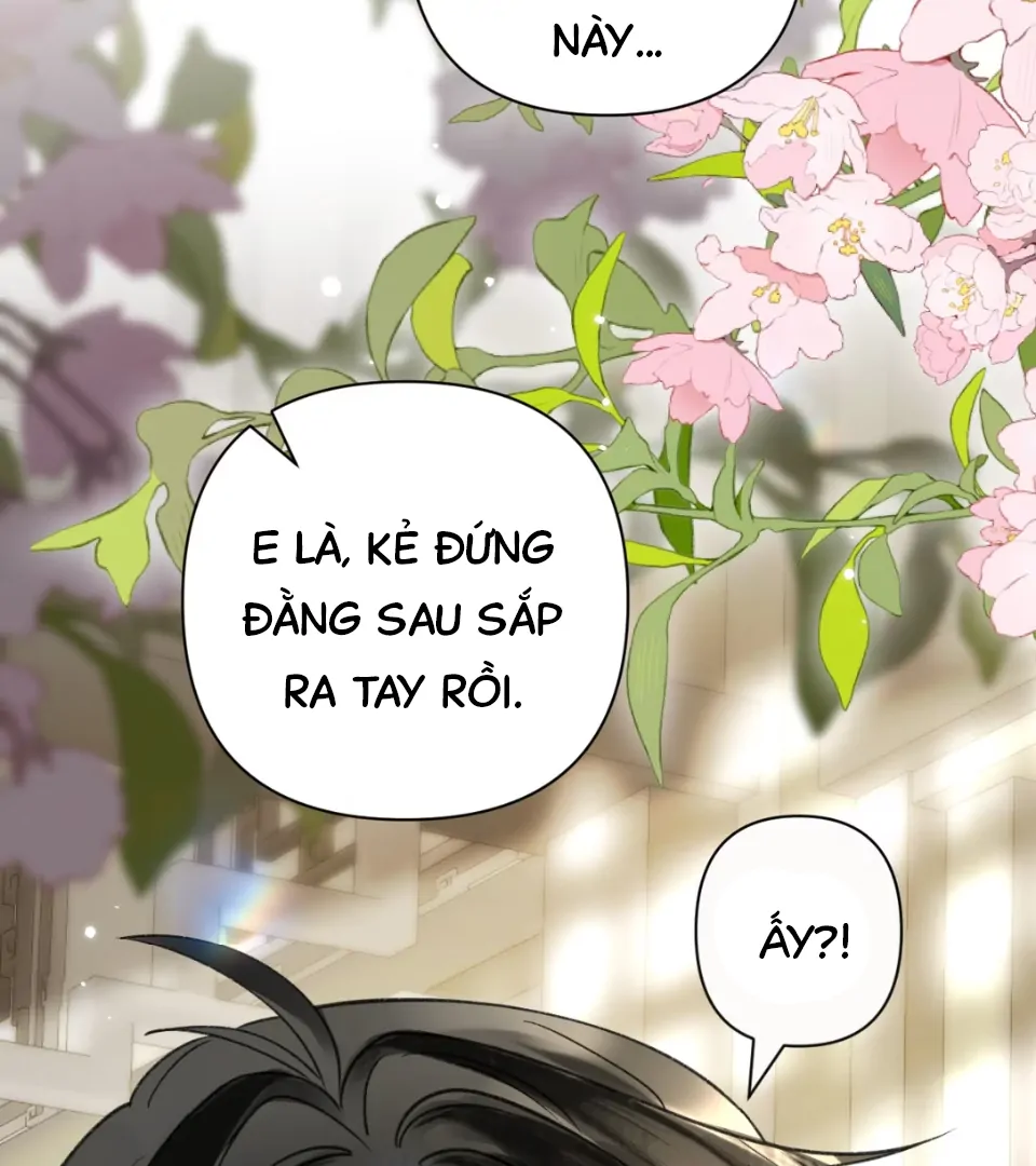 Đến Đông Hải Tìm Mỹ Nhân Chapter 58 - Trang 2