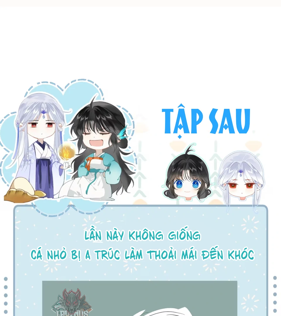 Đến Đông Hải Tìm Mỹ Nhân Chapter 58 - Trang 2