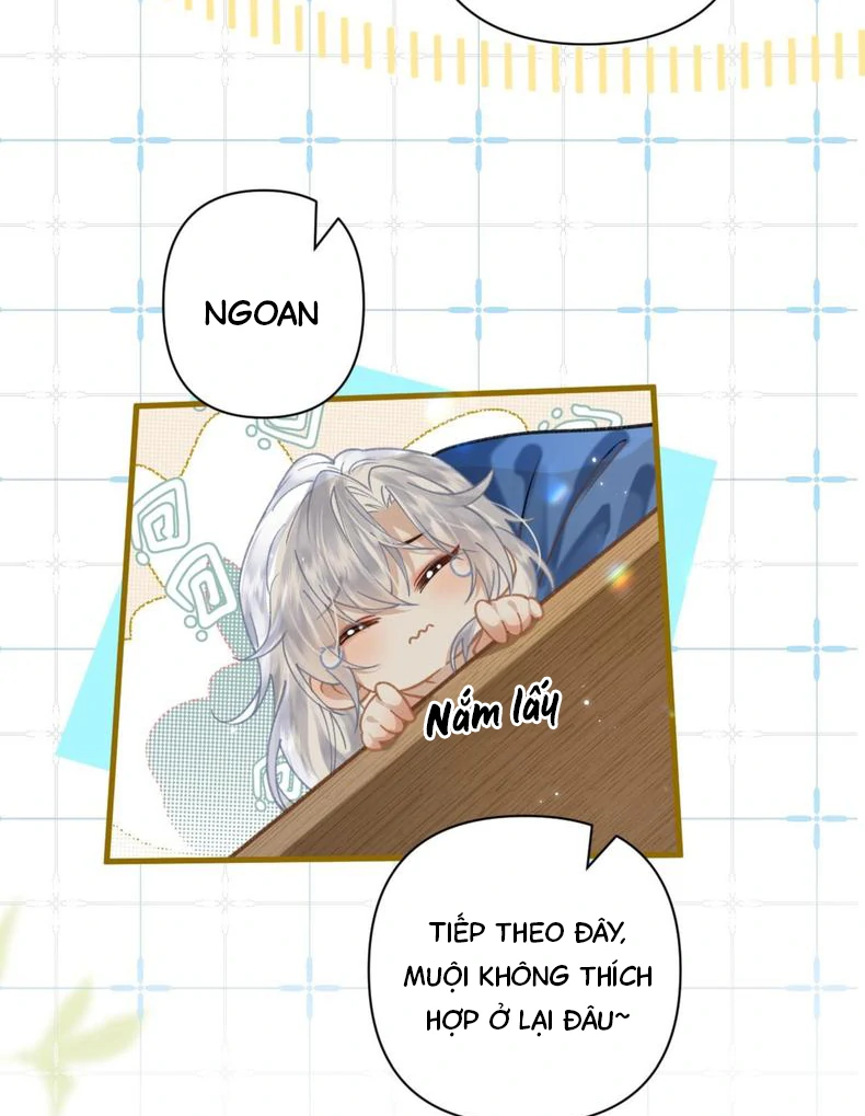 Đến Đông Hải Tìm Mỹ Nhân Chapter 59 - Trang 2