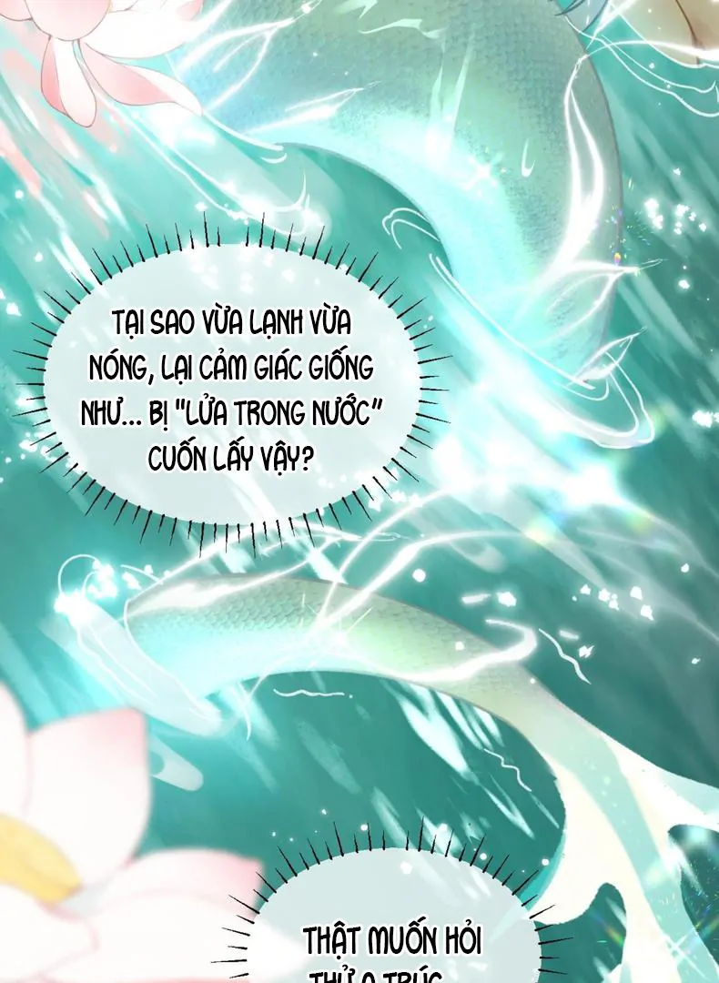 Đến Đông Hải Tìm Mỹ Nhân Chapter 59 - Trang 2