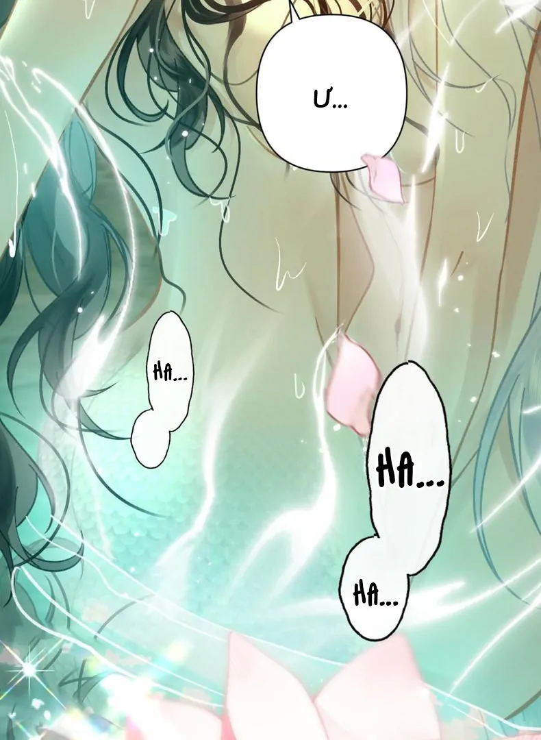 Đến Đông Hải Tìm Mỹ Nhân Chapter 59 - Trang 2