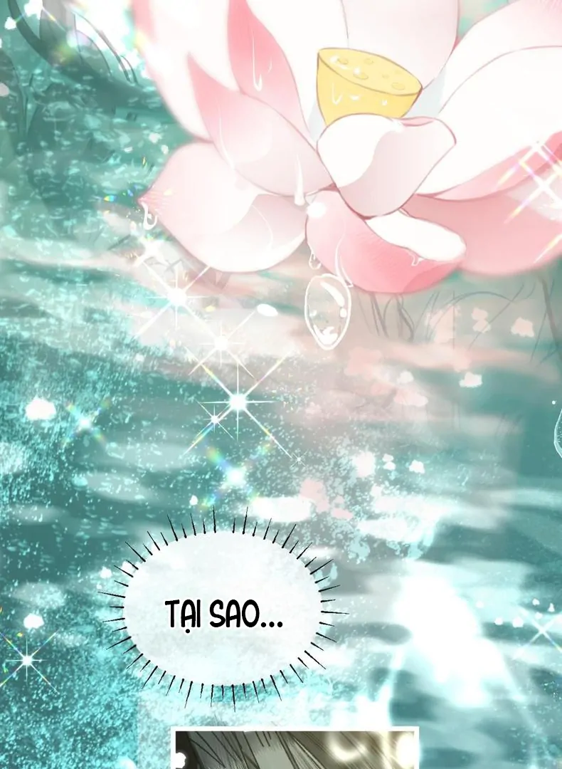 Đến Đông Hải Tìm Mỹ Nhân Chapter 59 - Trang 2