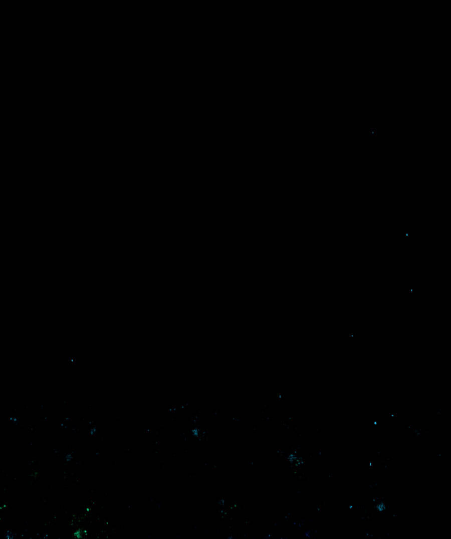 Deor! Chapter 20 - Trang 2