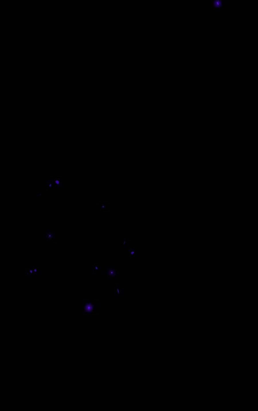 Deor! Chapter 23 - Trang 2