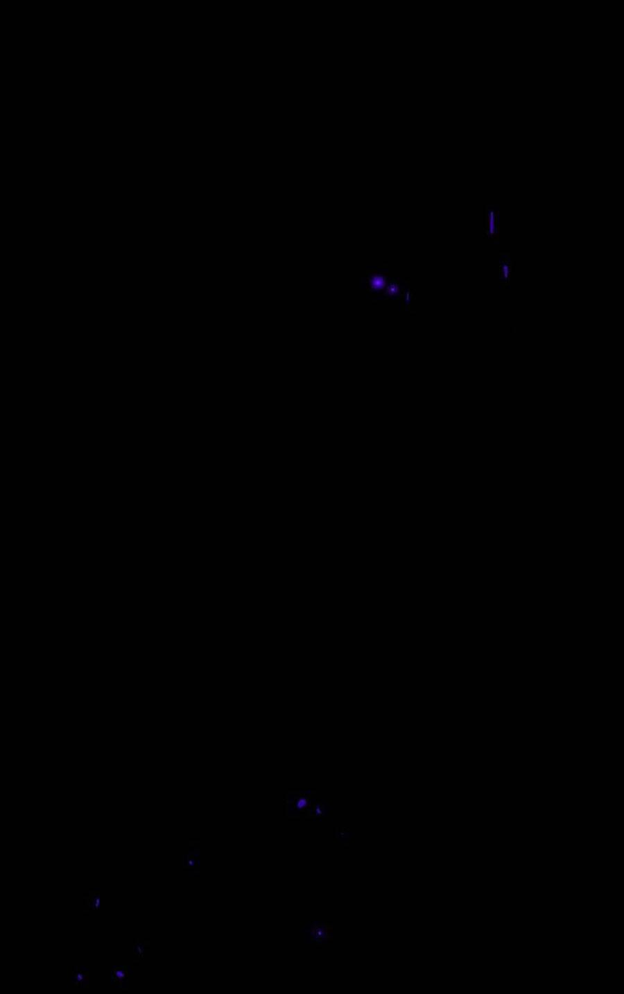 Deor! Chapter 23 - Trang 2