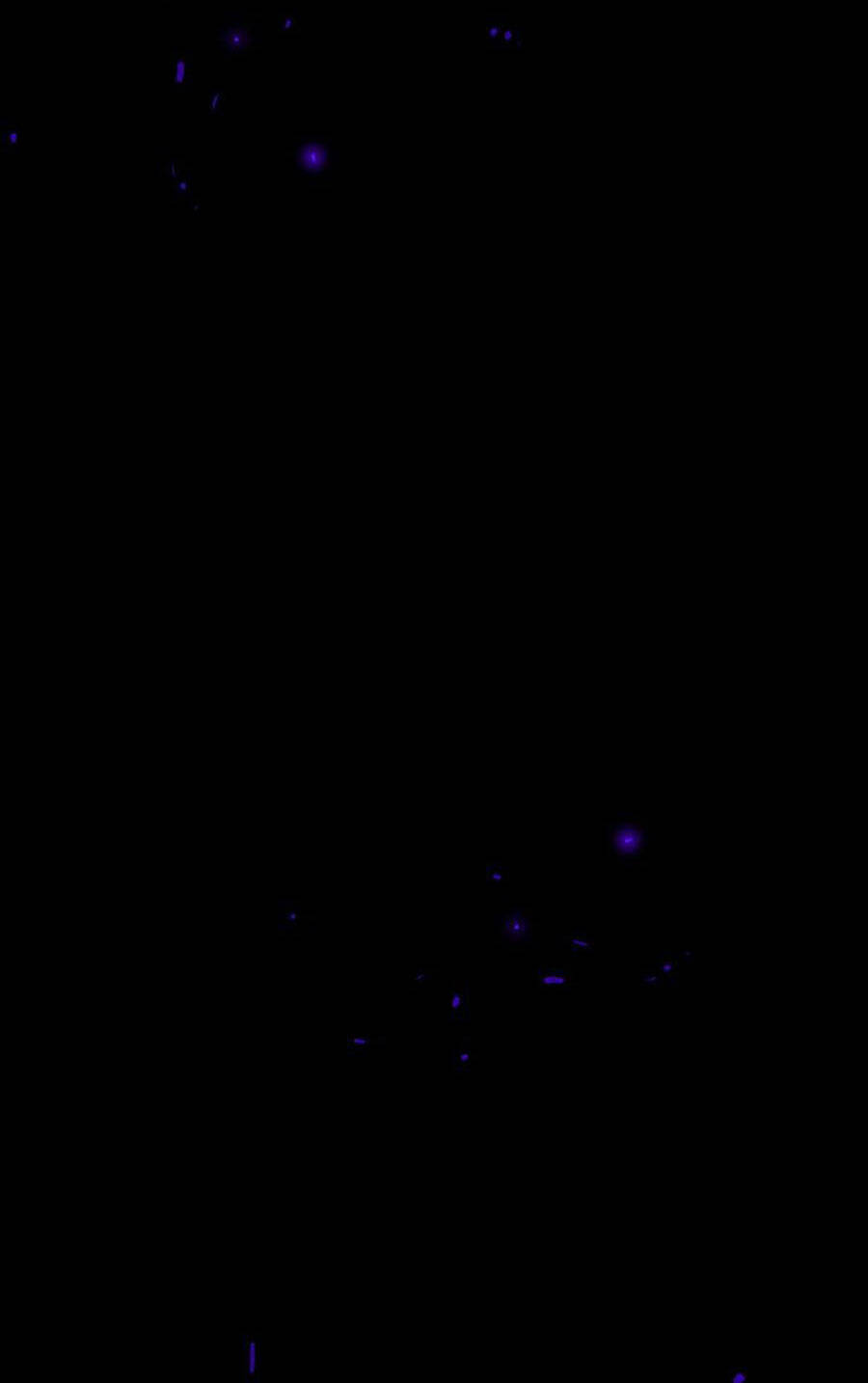 Deor! Chapter 23 - Trang 2