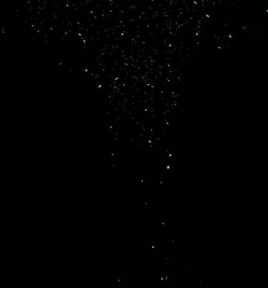 Deor! Chapter 25 - Trang 2