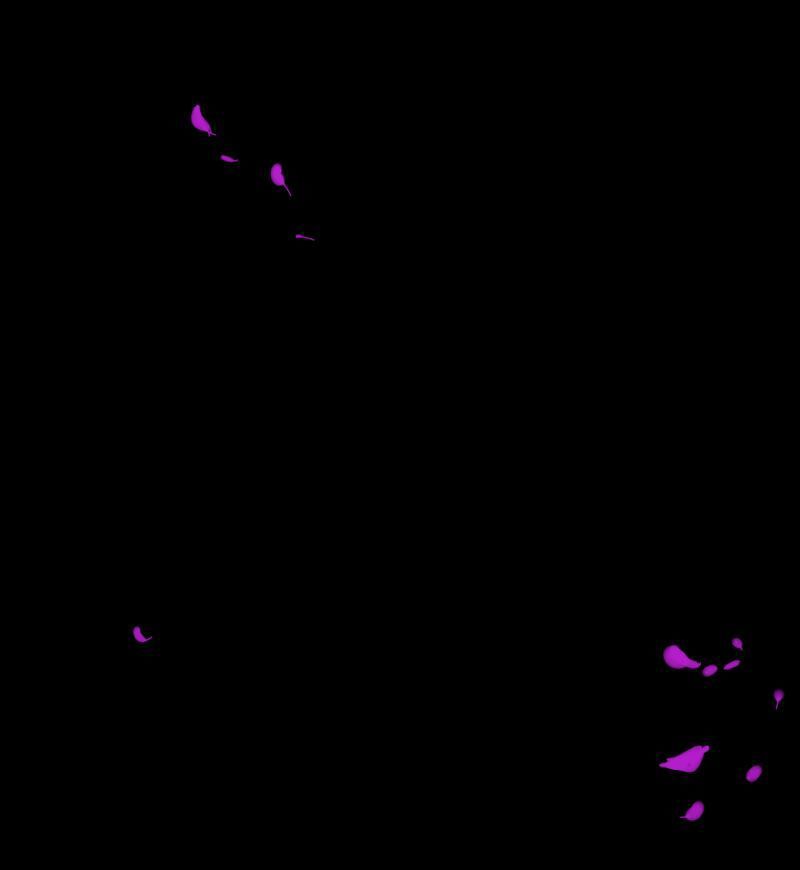 Deor! Chapter 8 - Trang 2