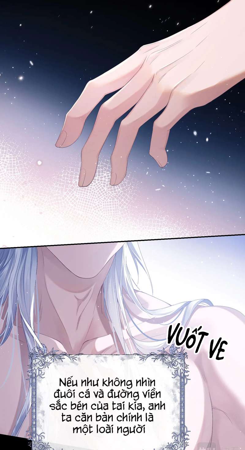 Desharow Nhân Ngư Chapter 1 - Trang 2