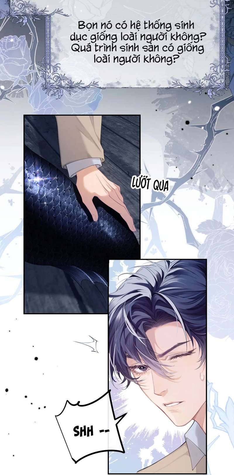 Desharow Nhân Ngư Chapter 1 - Trang 2