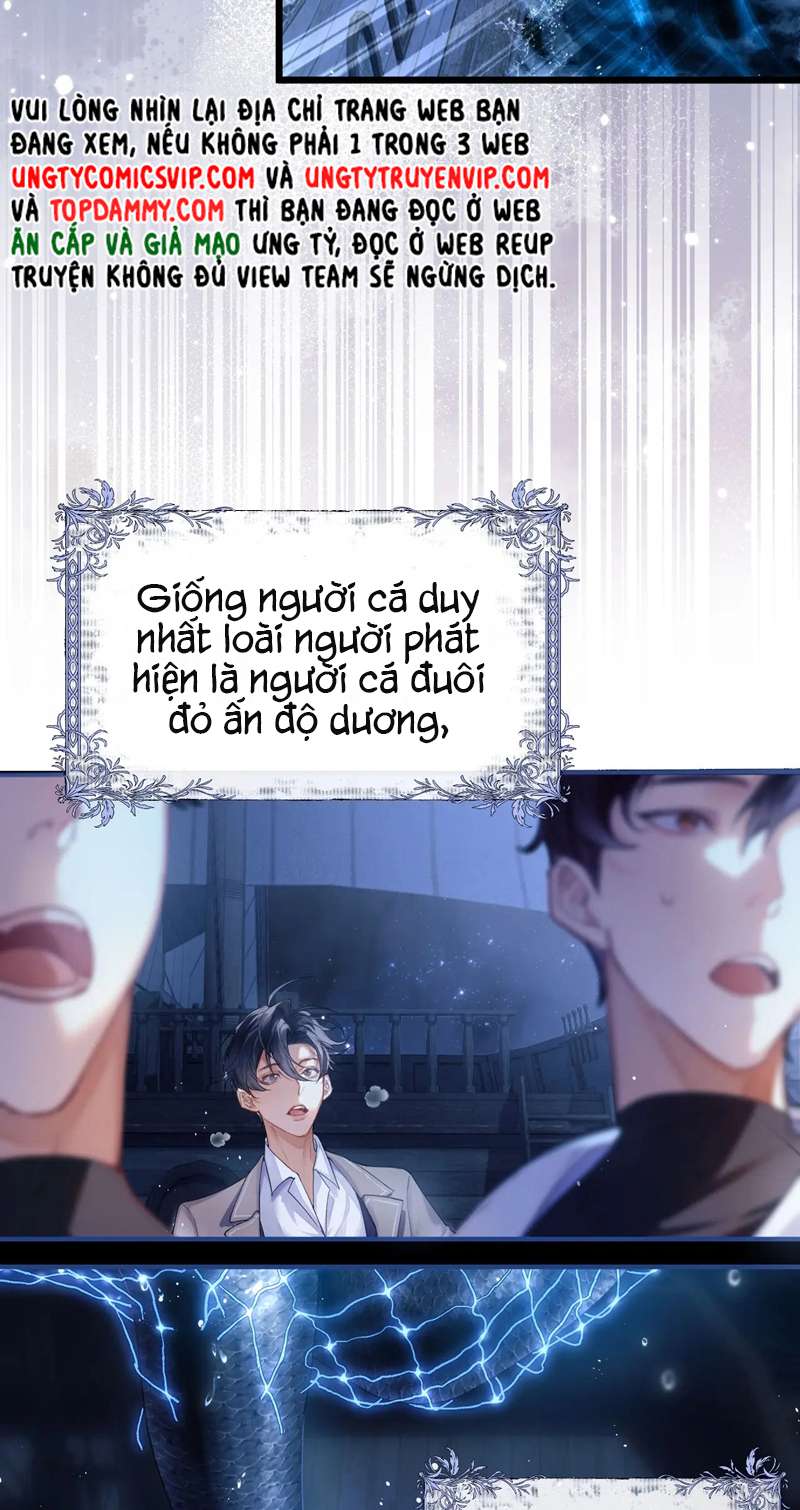 Desharow Nhân Ngư Chapter 1 - Trang 2