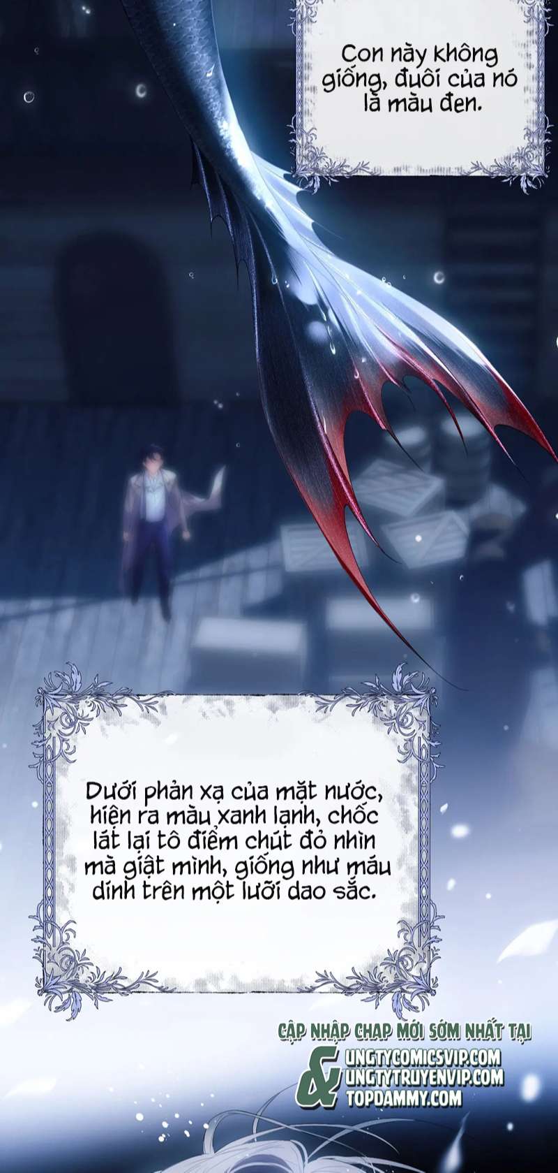 Desharow Nhân Ngư Chapter 1 - Trang 2