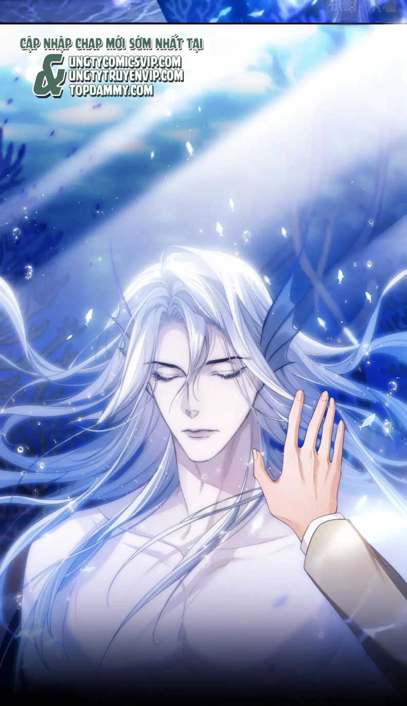 Desharow Nhân Ngư Chapter 2 - Trang 2