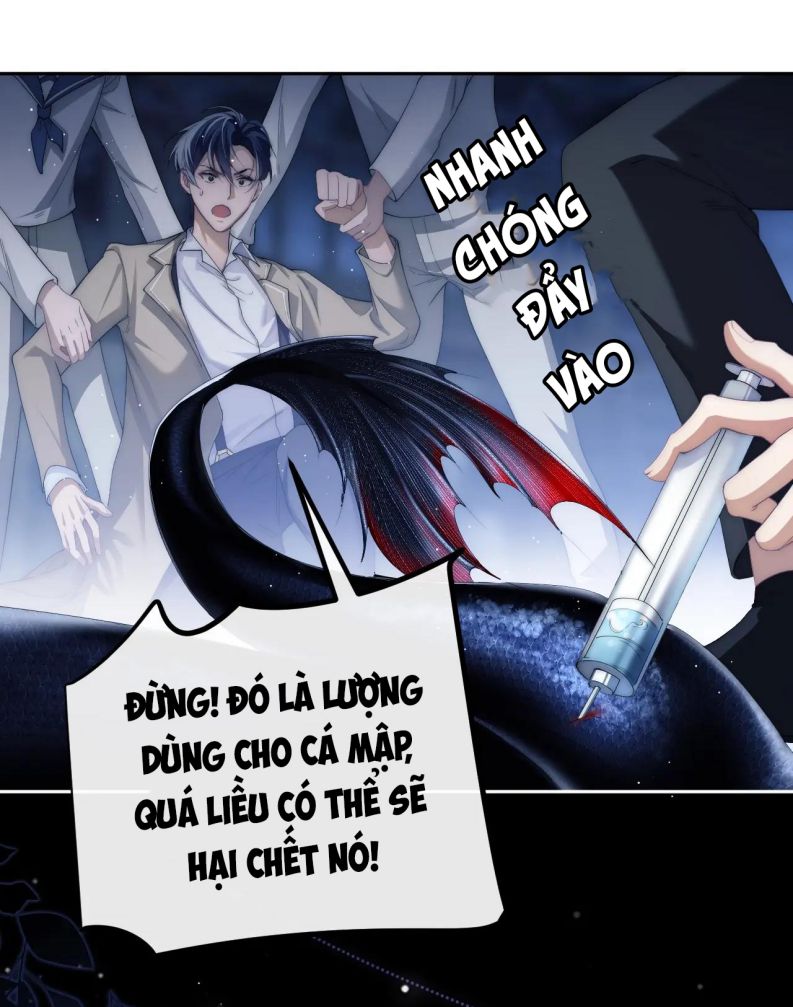 Desharow Nhân Ngư Chapter 2 - Trang 2