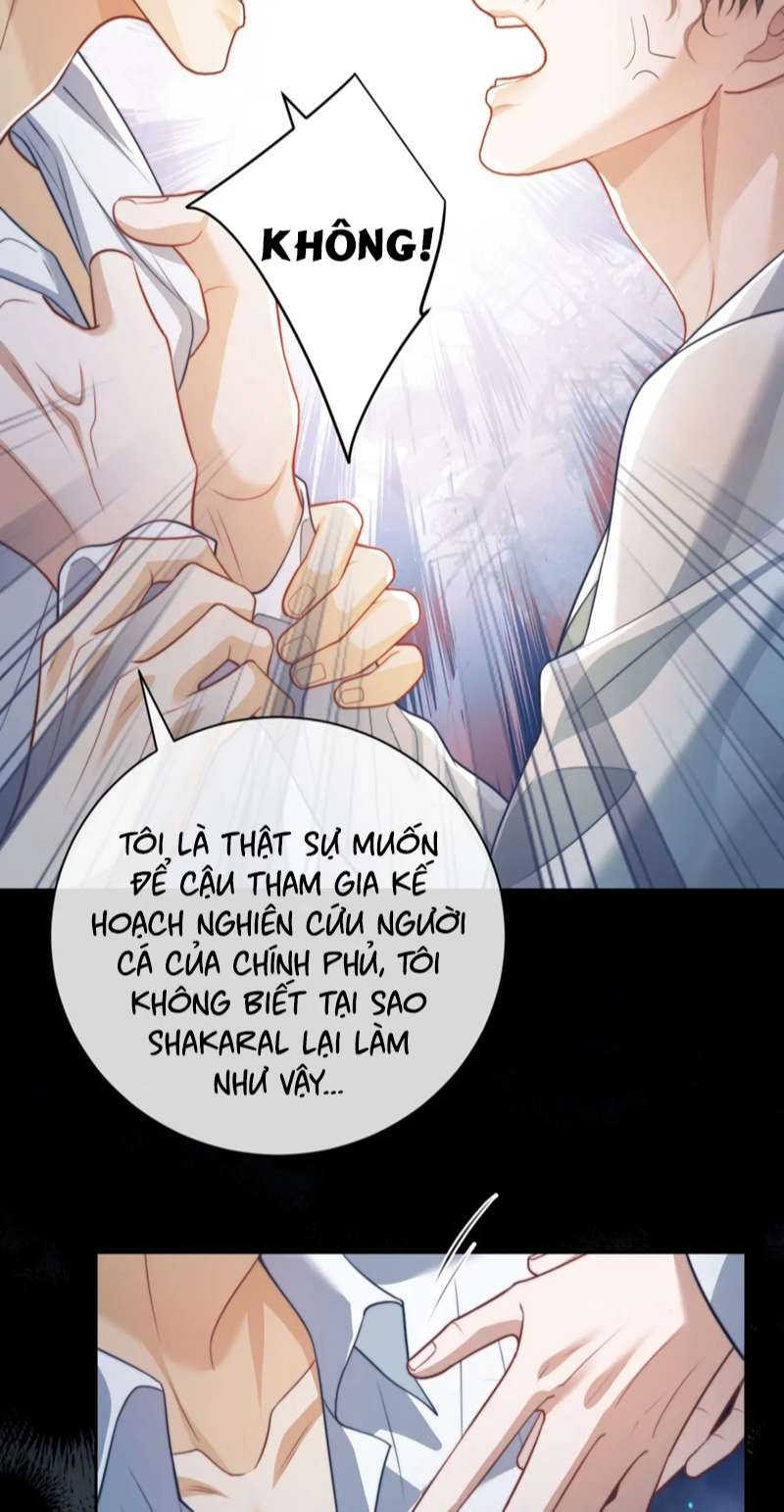 Desharow Nhân Ngư Chapter 20 - Trang 2