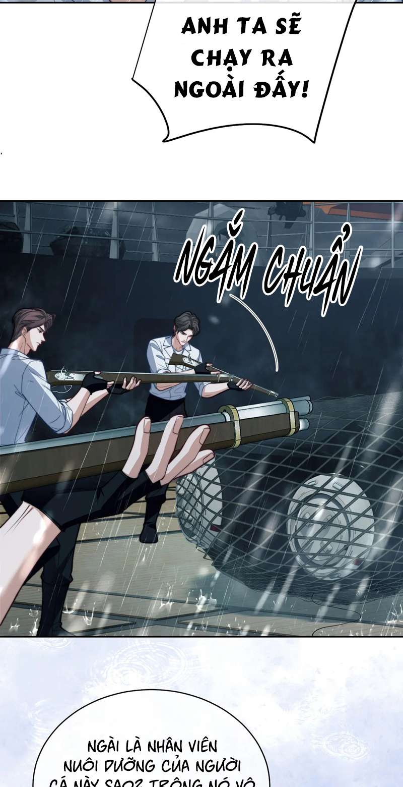 Desharow Nhân Ngư Chapter 20 - Trang 2