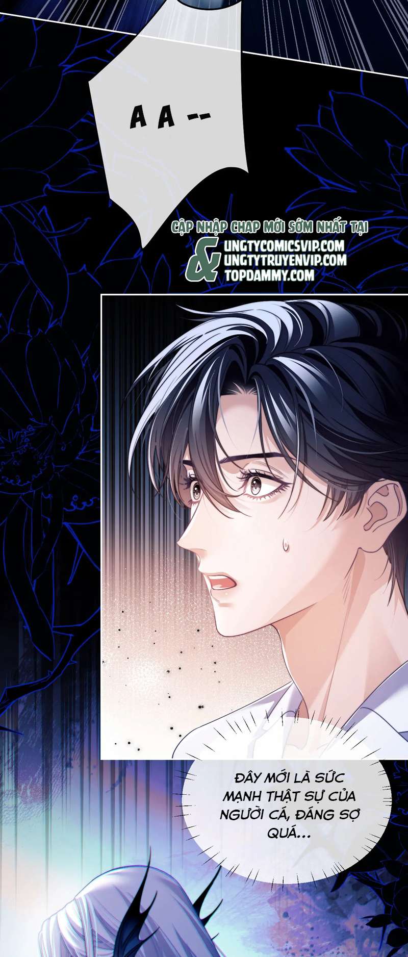 Desharow Nhân Ngư Chapter 24 - Trang 2