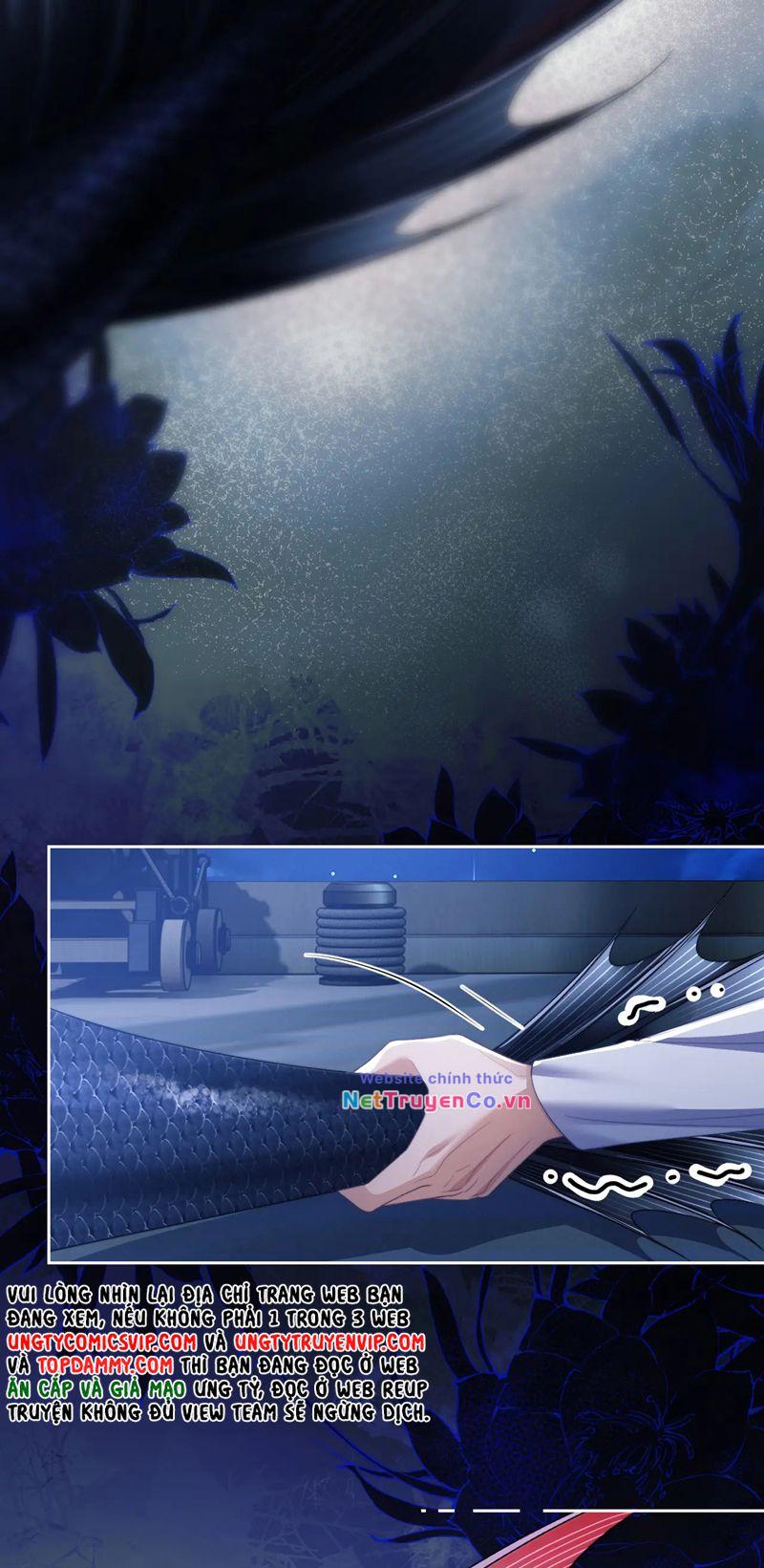 Desharow Nhân Ngư Chapter 25 - Trang 2