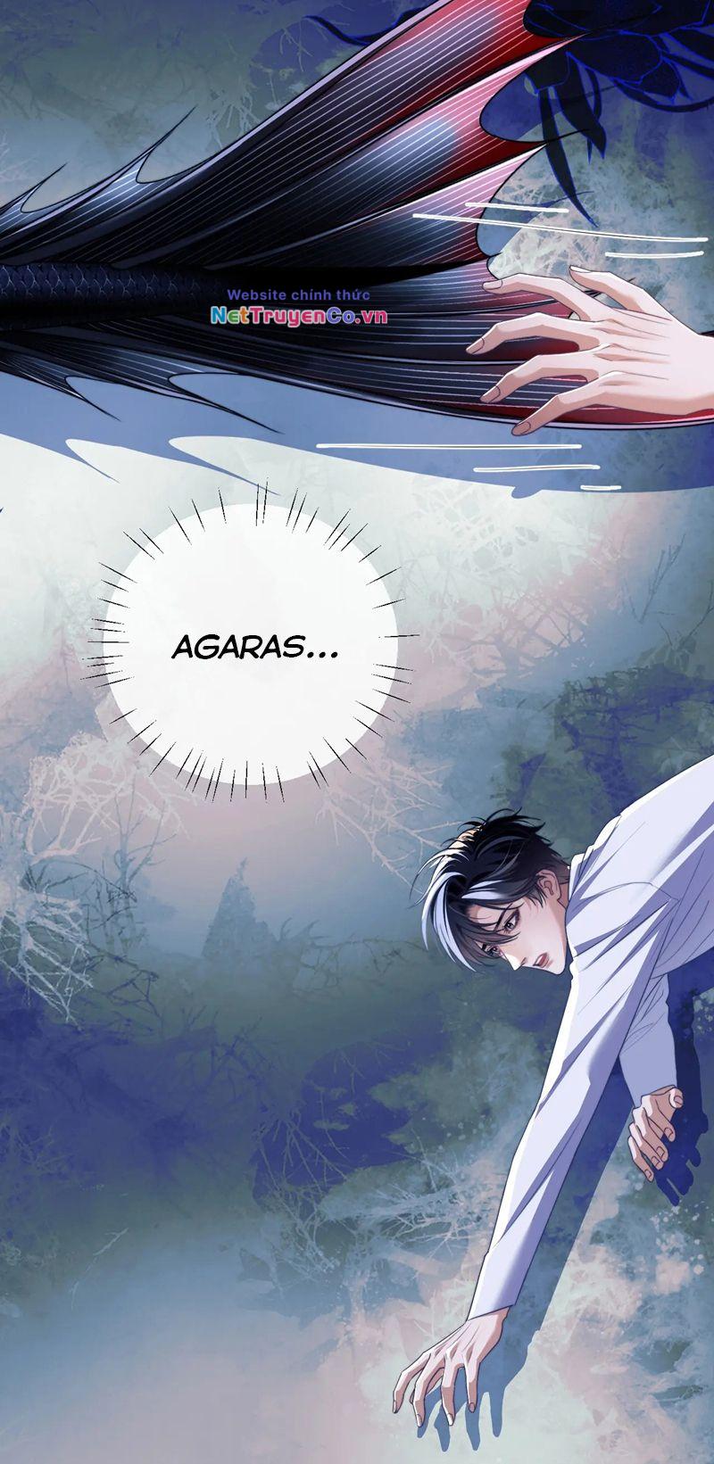 Desharow Nhân Ngư Chapter 25 - Trang 2